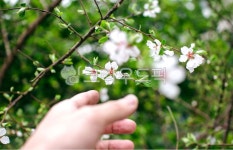 감성, old, nature, focus, 배경, 사진,이미지,일러스트,캘리그라피 - kaffatime작가 크라우드픽 - 저작권 걱정 없는 상업용 이미지