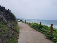 해변, 길, 바다, 해안가, 제주도, 사진,이미지,일러스트,캘리그라피 - gamoong작가 크라우드픽 - 저작권 걱정 없는 상업용 이미지