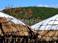 hut, 오두막, nature, 자연, outdoors, 사진,이미지,일러스트,캘리그라피 - 숲속향기작가 크라우드픽 - 저작권 걱정 없는 상업용 이미지