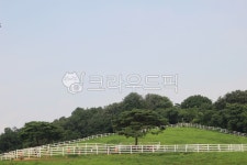 목장, 농장, 목초지, 들판, 초원, 사진,이미지,일러스트,캘리그라피 - 꿈꾸는다람이작가 크라우드픽 - 저작권 걱정 없는 상업용 이미지