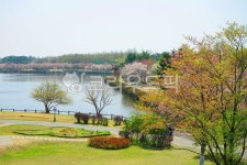 nature, 옥외, outdoors, 공원, park, 사진,이미지,일러스트,캘리그라피 - 운사작가 크라우드픽 - 저작권 걱정 없는 상업용 이미지