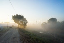 길, 제방, 농로, 안개, 새벽, 사진,이미지,일러스트,캘리그라피 - 퓨처작가 크라우드픽 - 저작권 걱정 없는 상업용 이미지