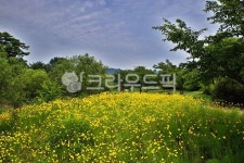 다산생태공원, 남양주, 수변공원, 전원, 자연, 사진,이미지,일러스트,캘리그라피 - Deep bLUE작가 크라우드픽 - 저작권 걱정 없는 상업용 이미지