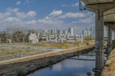 청계천, 산책, 산책로, 서울, 성동구, 사진,이미지,일러스트,캘리그라피 - imlover작가 크라우드픽 - 저작권 걱정 없는 상업용 이미지