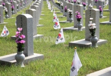 국립현충원, 국립, 현충원, 현충일, 국립묘지, 사진,이미지,일러스트,캘리그라피 - 프리이미지작가 크라우드픽 - 저작권 걱정 없는 상업용 이미지