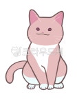 핑크, 고양이, 동물, 반려동물, 분홍, 사진,이미지,일러스트,캘리그라피 - yoonseo9797작가 크라우드픽 - 저작권 걱정 없는 상업용 이미지
