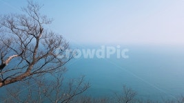 나무, 맑음, 날씨, 풍경, 자연, 사진,이미지,일러스트,캘리그라피 - 안경언니작가 크라우드픽 - 저작권 걱정 없는 상업용 이미지