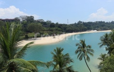 바다, 나무, 싱가폴, 해변, 하늘, 사진,이미지,일러스트,캘리그라피 - yesiri작가 크라우드픽 - 저작권 걱정 없는 상업용 이미지