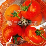 레드토마토 주식회사(RED TOMATO Co.,Ltd.) | 토마토, tomato, red, 레드, 과일, 사진,이미지,일러스트,캘리그라피 - 페인터미작가 크라우드픽 - 저작권 걱정 없는 상업용 이미지