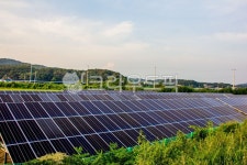 자연, nature, 옥외, outdoors, 태양광, 사진,이미지,일러스트,캘리그라피 - studio H작가 크라우드픽 - 저작권 걱정 없는 상업용 이미지