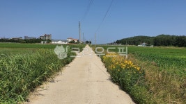 농로, 논, 들꽃, 길, 시골, 사진,이미지,일러스트,캘리그라피 - river12작가 크라우드픽 - 저작권 걱정 없는 상업용 이미지