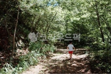 자연, 작은숲, 숲길, 아이, 초록, 사진,이미지,일러스트,캘리그라피 - 코카박스작가 크라우드픽 - 저작권 걱정 없는 상업용 이미지