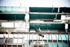 난간, 비둘기, 로우앵글, 건축물, 오우앵글, 사진,이미지,일러스트,캘리그라피 - filmark작가 크라우드픽 - 저작권 걱정 없는 상업용 이미지