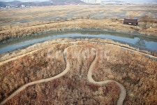 소래습지생태공원, 갯골, 뻘, 갯벌, 갈대, 사진,이미지,일러스트,캘리그라피 - 함께사는세상작가 크라우드픽 - 저작권 걱정 없는 상업용 이미지