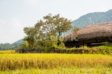 외암민속마을, 민속마을, 전통, 초가집, 농사, 사진,이미지,일러스트,캘리그라피 - 사진속으로작가 크라우드픽 - 저작권 걱정 없는 상업용 이미지