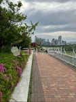 길, walkway, 보도, nature, 철쭉, 사진,이미지,일러스트,캘리그라피 - zzami2000작가 크라우드픽 - 저작권 걱정 없는 상업용 이미지