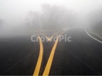 길, 안개, 안개도로, 도로, 갈림길, 사진,이미지,일러스트,캘리그라피 - 성오작가 크라우드픽 - 저작권 걱정 없는 상업용 이미지