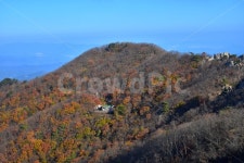 대둔산, 가을, 풍경, 단풍, 탐방, 사진,이미지,일러스트,캘리그라피 - 릴작가 크라우드픽 - 저작권 걱정 없는 상업용 이미지