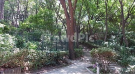 도화동, 수봉공원, 나무, 길, 인천, 사진,이미지,일러스트,캘리그라피 - 피오나작가 크라우드픽 - 저작권 걱정 없는 상업용 이미지