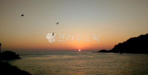 해돋이, 일몰, 일출, 새해, 새해아침, 사진,이미지,일러스트,캘리그라피 - 소 반작가 크라우드픽 - 저작권 걱정 없는 상업용 이미지