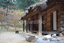 강원도, 너와집, 능애집, 느에집, 잣나무숲, 사진,이미지,일러스트,캘리그라피 - pol작가 크라우드픽 - 저작권 걱정 없는 상업용 이미지