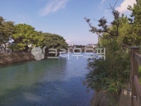 자연, nature, water, 물, outdoors, 사진,이미지,일러스트,캘리그라피 - 호호55작가 크라우드픽 - 저작권 걱정 없는 상업용 이미지