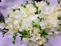 꽃, 프리지아, 꽃꽂이, flower, 식물, 사진,이미지,일러스트,캘리그라피 - 아기자기봄작가 크라우드픽 - 저작권 걱정 없는 상업용 이미지