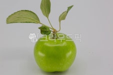 사과, 후식, 과일, 과수원, 농원, 사진,이미지,일러스트,캘리그라피 - 태광 최작가 크라우드픽 - 저작권 걱정 없는 상업용 이미지