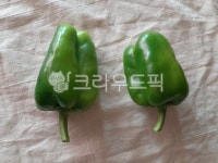 청피망, 피망, bellpepper, food, 음식, 사진,이미지,일러스트,캘리그라피 - wideart작가 크라우드픽 - 저작권 걱정 없는 상업용 이미지