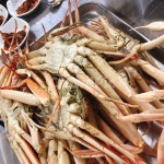 대게, 영덕대게, 게, 해산물요리, 홍게, 사진,이미지,일러스트,캘리그라피 - 삼전소녀작가 크라우드픽 - 저작권 걱정 없는 상업용 이미지