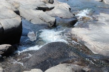 시냇물, 계곡, 봄, 버들, 계곡물, 사진,이미지,일러스트,캘리그라피 - 우린또작가 크라우드픽 - 저작권 걱정 없는 상업용 이미지