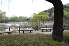 나무, 공원, 의자, 호수, park, 사진,이미지,일러스트,캘리그라피 - Bluebara작가 크라우드픽 - 저작권 걱정 없는 상업용 이미지