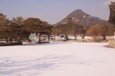 겨울, 눈, 광장, 옥외, 자연, 사진,이미지,일러스트,캘리그라피 - johannesbap작가 크라우드픽 - 저작권 걱정 없는 상업용 이미지