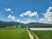 nature, 자연, outdoors, 필드, 농장, 사진,이미지,일러스트,캘리그라피 - 서매일작가 크라우드픽 - 저작권 걱정 없는 상업용 이미지