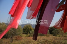 천, 하늘, 오색천, 나무, 휘날리는천, 사진,이미지,일러스트,캘리그라피 - Nphseo59작가 크라우드픽 - 저작권 걱정 없는 상업용 이미지