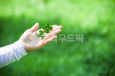 네잎크로바, 크로바, 배경, 네잎, 잎, 사진,이미지,일러스트,캘리그라피 - B cosmos작가 크라우드픽 - 저작권 걱정 없는 상업용 이미지