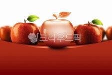 열매, 농산물, 홍옥, 부사, 국광, 사진,이미지,일러스트,캘리그라피 - artin작가 크라우드픽 - 저작권 걱정 없는 상업용 이미지