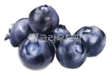 블루베리, blueberry, 과일, food, fruit, 사진,이미지,일러스트,캘리그라피 - 날으는붕어작가 크라우드픽 - 저작권 걱정 없는 상업용 이미지