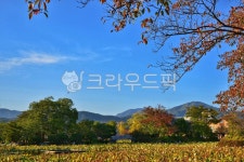 김천, 연화지, 김천연화지, nature, 자연, 사진,이미지,일러스트,캘리그라피 - 하지하지작가 크라우드픽 - 저작권 걱정 없는 상업용 이미지