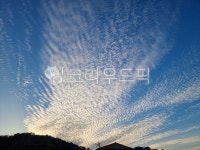 하늘, 맑은하늘, 구름, 파란하늘, 바탕화면, 사진,이미지,일러스트,캘리그라피 - insura2022작가 크라우드픽 - 저작권 걱정 없는 상업용 이미지