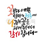 꽃, 청춘, 감사, 엄마, 어버이날, 사진,이미지,일러스트,캘리그라피 - 쩡이글씨작가 크라우드픽 - 저작권 걱정 없는 상업용 이미지