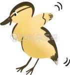 오리, duck, 새끼오리, 청둥오리, 새, 사진,이미지,일러스트,캘리그라피 - 위고하이작가 크라우드픽 - 저작권 걱정 없는 상업용 이미지