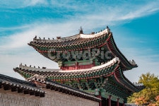 창경궁, 홍화문, 궁궐, 궁, 서울, 사진,이미지,일러스트,캘리그라피 - catcher작가 크라우드픽 - 저작권 걱정 없는 상업용 이미지