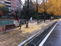 공원, 나무, 자연, 철봉, 운동시설, 사진,이미지,일러스트,캘리그라피 - 월산작가 크라우드픽 - 저작권 걱정 없는 상업용 이미지