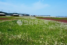nature, 자연, outdoors, 옥외, 신안증도태평염전, 사진,이미지,일러스트,캘리그라피 - 영산공작가 크라우드픽 - 저작권 걱정 없는 상업용... 