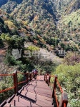 제주도, 한라산, 산, 등산, 한산길, 사진,이미지,일러스트,캘리그라피 - dakdali79작가 크라우드픽 - 저작권 걱정 없는 상업용 이미지