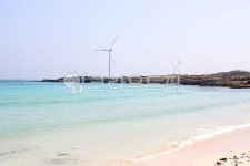 제주도, 월정리, 바다, 푸르른, 풍경, 사진,이미지,일러스트,캘리그라피 - 라이티티아작가 크라우드픽 - 저작권 걱정 없는 상업용 이미지