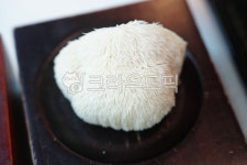음식, 식사, food, meal, 버섯, 사진,이미지,일러스트,캘리그라피 - yosun0223작가 크라우드픽 - 저작권 걱정 없는 상업용 이미지