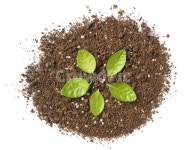 흙, 모래, 땅, 가루, 흙가루, 사진,이미지,일러스트,캘리그라피 - binimin작가 크라우드픽 - 저작권 걱정 없는 상업용 이미지