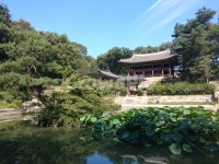 한국정원, 정원, 비원, 창경궁비원, 창경궁후원, 사진,이미지,일러스트,캘리그라피 - 재피작가 크라우드픽 - 저작권 걱정 없는 상업용 이미지